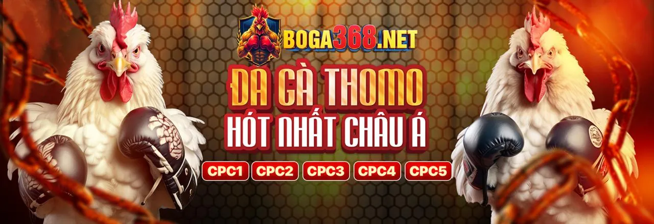 Tỷ lệ cược cạnh tranh và thể loại kèo phong phú tại 79king login