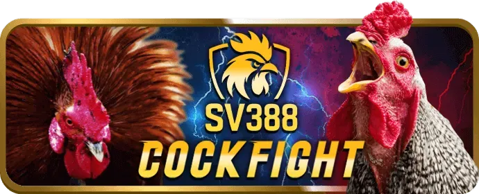 Dữ liệu cookie và quyền riêng tư kỹ thuật số tại 79king login