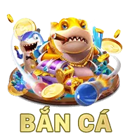 Đọc Kỹ Điều Khoản 79King Login